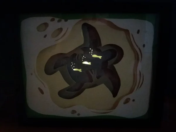 LIGHTBOX TORTUE – Image 5