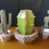 PAPERCRAFT trio CACTUS – Image 2