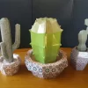 PAPERCRAFT trio CACTUS – Image 3