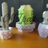 PAPERCRAFT trio CACTUS