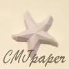PAPERCRAFT COQUILLAGE et ETOILE de mer – Image 4