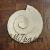 PAPERCRAFT COQUILLAGE et ETOILE de mer – Image 6