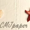 PAPERCRAFT 2 COQUILLAGES / 2 ETOILES de mer